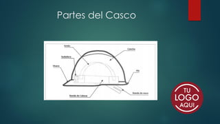 Partes del Casco
 