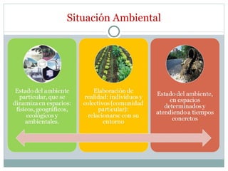 Situación Ambiental 
