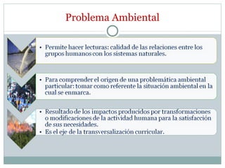 Problema Ambiental 