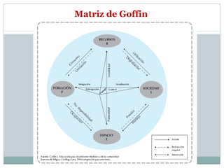Matriz de Goffin 