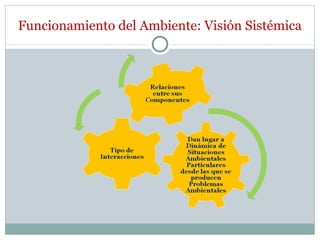 Funcionamiento del Ambiente: Visión Sistémica 