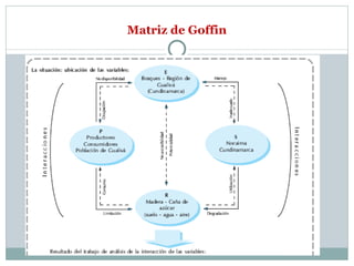 Matriz de Goffin 