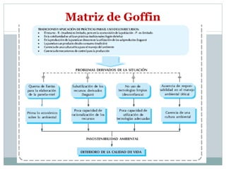 Matriz de Goffin 