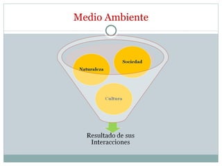 Medio Ambiente 