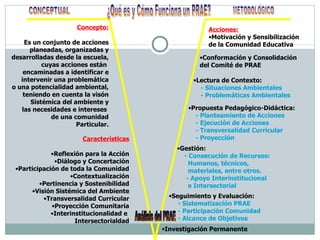 ¿Qué es y Cómo Funciona un PRAE? CONCEPTUAL METODOLÓGICO Concepto: Es un conjunto de acciones planeadas, organizadas y desarrolladas desde la escuela, cuyas acciones están  encaminadas a identificar e intervenir una problemática o una potencialidad ambiental, teniendo en cuenta la visón Sistémica del ambiente y las necesidades e intereses  de una comunidad Particular. Acciones: Motivación y Sensibilización de la Comunidad Educativa Características Reflexión para la Acción Diálogo y Concertación Participación de toda la Comunidad Contextualización Pertinencia y Sostenibilidad Visión Sistémica del Ambiente Transversalidad Curricular Proyección Comunitaria Interinstitucionalidad e  Intersectorialdad Análisis del PRAE Conformación y Consolidación del Comité de PRAE Lectura de Contexto: - Situaciones Ambientales - Problemáticas Ambientales Propuesta Pedagógico-Didáctica: - Planteamiento de Acciones - Ejecución de Acciones - Transversalidad Curricular - Proyección Gestión: - Consecución de Recursos: Humanos, técnicos,  materiales, entre otros. - Apoyo Interinstitucional e Intersectorial Seguimiento y Evaluación: - Sistematización PRAE - Participación Comunidad - Alcance de Objetivos Investigación Permanente 