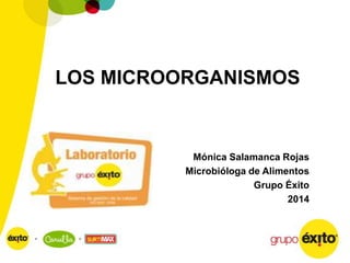 LOS MICROORGANISMOS

Mónica Salamanca Rojas
Microbióloga de Alimentos
Grupo Éxito
2014

 