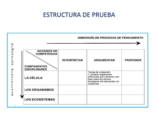 ESTRUCTURA DE PRUEBA
 