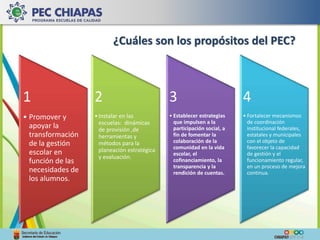 ¿Cuáles son los propósitos del PEC? 
1 
• Promover y 
apoyar la 
transformación 
de la gestión 
escolar en 
función de las 
necesidades de 
los alumnos. 
2 
• Instalar en las 
escuelas: dinámicas 
de provisión ,de 
herramientas y 
métodos para la 
planeación estratégica 
y evaluación. 
3 
• Establecer estrategias 
que impulsen a la 
participación social, a 
fin de fomentar la 
colaboración de la 
comunidad en la vida 
escolar, el 
cofinanciamiento, la 
transparencia y la 
rendición de cuentas. 
4 
• Fortalecer mecanismos 
de coordinación 
institucional federales, 
estatales y municipales 
con el objeto de 
favorecer la capacidad 
de gestión y el 
funcionamiento regular, 
en un proceso de mejora 
continua. 
 