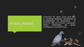 PLAGAS URBANAS
Conjunto de seres vivos que por
su cantidad biología representa la
probabilidad de perjudicar el
entorno del ser human, causando
daños materiales, de salud,
ecológicos o económicos.
 