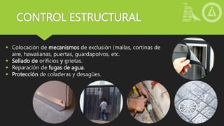 CONTROL ESTRUCTURAL
 Colocación de mecanismos de exclusión (mallas, cortinas de
aire, hawaiianas, puertas, guardapolvos, etc.
 Sellado de orificios y grietas.
 Reparación de fugas de agua.
 Protección de coladeras y desagües.
 