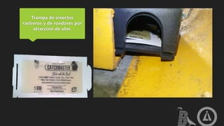 Trampa de insectos
rastreros y de roedores por
atracción de olor.
 