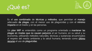 ¿Qué es?
Es el uso combinado de técnicas y métodos, que permitan el manejo
adecuado de plagas, con el menor uso de plaguicidas y con el mínimo
impacto en el medio y en las personas.
Un plan MIP es entendido como un programa orientado a mantener las
plagas en niveles que no causen perjuicio al ser humano, en su salud y su
economía, utilizando métodos naturales, técnicas y sustancias encaminados
al respeto del medio ambiente y la salud humana, teniendo como último
recurso el uso de plaguicidas.
 
