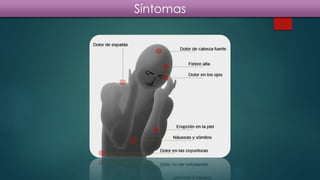 Síntomas
 