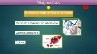 ¿Cómo se diagnostica el Dengue?
Diagnósticos
Mediante exámenes de laboratorio.
Conteo Sanguíneo.
Cultivo.
 