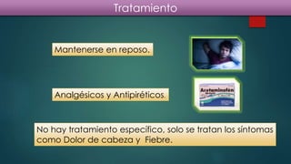 Tratamiento
Mantenerse en reposo.
Analgésicos y Antipiréticos.
No hay tratamiento específico, solo se tratan los síntomas
como Dolor de cabeza y Fiebre.
 
