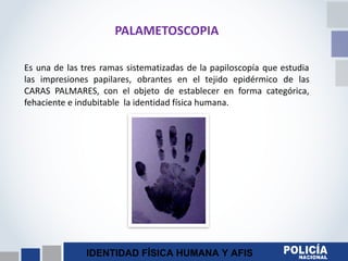 IDENTIDAD FÍSICA HUMANA Y AFIS
PALAMETOSCOPIA
Es una de las tres ramas sistematizadas de la papiloscopía que estudia
las impresiones papilares, obrantes en el tejido epidérmico de las
CARAS PALMARES, con el objeto de establecer en forma categórica,
fehaciente e indubitable la identidad física humana.
 