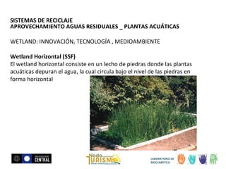 SISTEMAS DE RECICLAJE
APROVECHAMIENTO AGUAS RESIDUALES _ PLANTAS ACUÁTICAS
WETLAND: INNOVACIÓN, TECNOLOGÍA , MEDIOAMBIENTE
Wetland Horizontal (SSF)
El wetland horizontal consiste en un lecho de piedras donde las plantas
acuáticas depuran el agua, la cual circula bajo el nivel de las piedras en
forma horizontal

LABORATORIO DE
BIOCLIMÁTICA

 