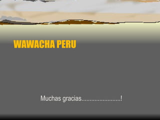 WAWACHA PERU Muchas gracias........................! 