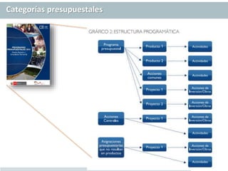 Categorías presupuestales
 