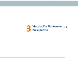 Vinculación Planeamiento y
Presupuesto3
 
