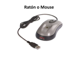 Ratón o Mouse