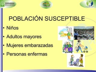 POBLACIÓN SUSCEPTIBLE Niños Adultos mayores M ujeres embarazadas Personas enfermas   