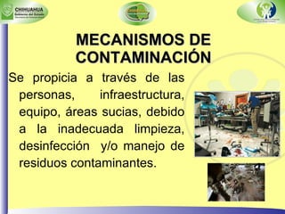 MECANISMOS DE CONTAMINACIÓN Se propicia a través de las personas, infraestructura, equipo, áreas sucias, debido a la inadecuada limpieza, desinfección  y/o manejo de residuos contaminantes. 