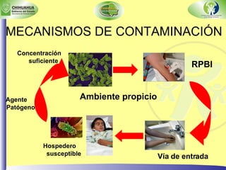 MECANISMOS DE CONTAMINACIÓN RPBI Ambiente propicio Vía de entrada Hospedero susceptible Agente Patógeno Concentración suficiente 