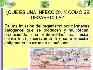 ¿QUE ES UNA INFECCION Y COMO SE DESARROLLA? Es una invasión del organismo por gérmenes patógenos que se producen y multiplican, produciendo una enfermedad por lesión celular local, secreción de toxinas o reacción antígeno-anticuerpo en el huésped. 