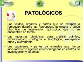 PATOLÓGICOS Los tejidos, órganos y partes que se extirpan o remueven durante las necropsias, la cirugía o algún otro tipo de intervención quirúrgica, que no se encuentren en formol. Las muestras biológicas para análisis químico, microbiológico, citológico e histológico, excluyendo orina y excremento. Los cadáveres y partes de animales que fueron inoculados con agentes enteropatógenos en centros de investigación y bioterios. 