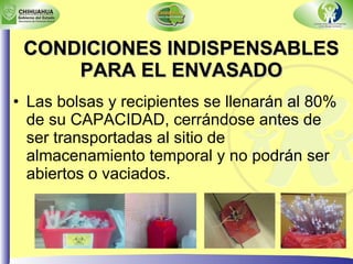 CONDICIONES INDISPENSABLES PARA EL ENVASADO Las bolsas y recipientes se llenarán al 80% de su CAPACIDAD, cerrándose antes de ser transportadas al sitio de almacenamiento temporal y no podrán ser abiertos o vaciados. 