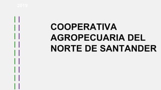 COOPERATIVA
AGROPECUARIA DEL
NORTE DE SANTANDER
2019
 