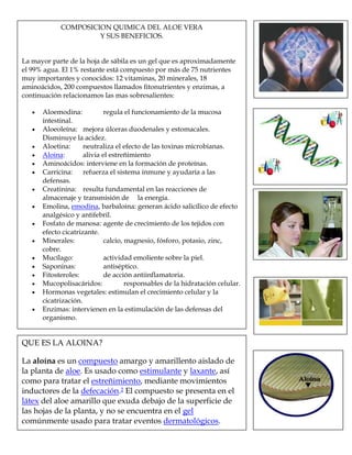 COMPOSICION QUIMICA DEL ALOE VERA
Y SUS BENEFICIOS.
La mayor parte de la hoja de sábila es un gel que es aproximadamente
el 99% agua. El 1% restante está compuesto por más de 75 nutrientes
muy importantes y conocidos: 12 vitaminas, 20 minerales, 18
aminoácidos, 200 compuestos llamados fitonutrientes y enzimas, a
continuación relacionamos las mas sobresalientes:
Aloemodina: regula el funcionamiento de la mucosa
intestinal.
Aloeoleína: mejora úlceras duodenales y estomacales.
Disminuye la acidez.
Aloetina: neutraliza el efecto de las toxinas microbianas.
Aloina: alivia el estreñimiento
Aminoácidos: interviene en la formación de proteínas.
Carricina: refuerza el sistema inmune y ayudaría a las
defensas.
Creatinina: resulta fundamental en las reacciones de
almacenaje y transmisión de la energía.
Emolina, emodina, barbaloina: generan ácido salicílico de efecto
analgésico y antifebril.
Fosfato de manosa: agente de crecimiento de los tejidos con
efecto cicatrizante.
Minerales: calcio, magnesio, fósforo, potasio, zinc,
cobre.
Mucílago: actividad emoliente sobre la piel.
Saponinas: antiséptico.
Fitosteroles: de acción antiinflamatoria.
Mucopolisacáridos: responsables de la hidratación celular.
Hormonas vegetales: estimulan el crecimiento celular y la
cicatrización.
Enzimas: intervienen en la estimulación de las defensas del
organismo.
QUE ES LA ALOINA?
La aloína es un compuesto amargo y amarillento aislado de
la planta de aloe. Es usado como estimulante y laxante, así
como para tratar el estreñimiento, mediante movimientos
inductores de la defecación.2 El compuesto se presenta en el
látex del aloe amarillo que exuda debajo de la superficie de
las hojas de la planta, y no se encuentra en el gel
comúnmente usado para tratar eventos dermatológicos.
 