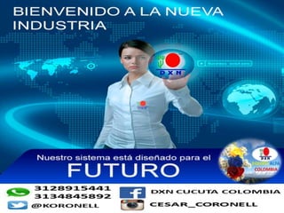 dxn colombia