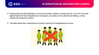  Implementar jornadas flexibles o turnos de entrada y salida a lo largo del día, con el fin de evitar
aglomeración de los trabajadores en el ingreso y la salida, en los centros de trabajo y en los
medios de transporte masivo.
 Se debe determinar claramente el numero máximo de trabajadores por turno.
ALTERNATIVAS DE ORGANIZACIÓN LABORAL
 