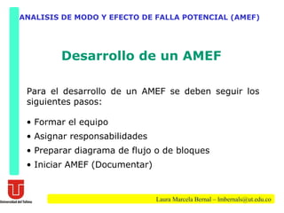 Capacitacion AMEF | PPT