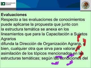 Fomento a la Inversión
Pública y Privada en la
Propiedad Rural
FIPP
Evaluaciones
Respecto a las evaluaciones de conocimientos
puede aplicarse la propuesta que junto con
la estructura temática se anexa en los
lineamientos que para la Capacitación a Sujetos
Agrarios
difunda la Dirección de Organización Agraria, o
bien, cualquier otra que sirva para valorar la
asimilación de los tópicos mencionados en las
estructuras temáticas; según las condiciones del
 