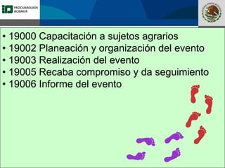 Fomento a la Inversión
Pública y Privada en la
Propiedad Rural
FIPP
• 19000 Capacitación a sujetos agrarios
• 19002 Planeación y organización del evento
• 19003 Realización del evento
• 19005 Recaba compromiso y da seguimiento
• 19006 Informe del evento
 