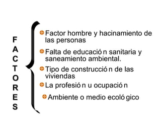 Factor hombre y hacinamiento de las personas Falta de educación sanitaria y saneamiento ambiental. Tipo de construcción de las viviendas La profesión u ocupación Ambiente o medio ecológico F A C T O R E S 