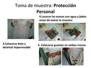 Toma de muestra:  Protección Personal 3.Colocarse bata y delantal impermeable 5. Colocarse guantes en ambas manos  4.Lavarse las manos con agua y jabón antes de tomar la muestra 
