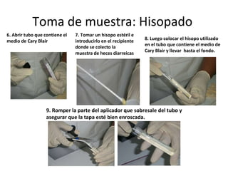 Toma de muestra: Hisopado  6. Abrir tubo que contiene el medio de Cary Blair 8. Luego colocar el hisopo utilizado en el tubo que contiene el medio de Cary Blair y llevar  hasta el fondo. 9. Romper la parte del aplicador que sobresale del tubo y asegurar que la tapa esté bien enroscada. 7. Tomar un hisopo estéril e introducirlo en el recipiente donde se colecto la  muestra de heces diarreicas 