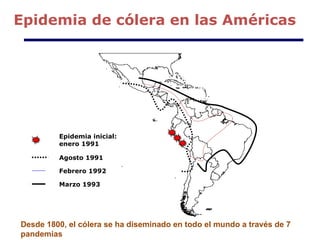 Epidemia de cólera en las Américas Desde 1800, el cólera se ha diseminado en todo el mundo a través de 7 pandemias Epidemia inicial: enero 1991 Agosto 1991 Febrero 1992 Marzo 1993 