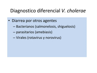 Diarrea por otros agentes  Bacterianos (salmonelosis, shiguelosis)  parasitarios (amebiasis) Virales (rotavirus y norovirus) Diagnostico diferencial  V. cholerae   