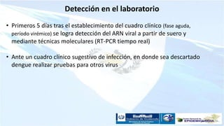 Detección en el laboratorio
• Primeros 5 días tras el establecimiento del cuadro clínico (fase aguda,
período virémico) se logra detección del ARN viral a partir de suero y
mediante técnicas moleculares (RT-PCR tiempo real)
• Ante un cuadro clínico sugestivo de infección, en donde sea descartado
dengue realizar pruebas para otros virus
 