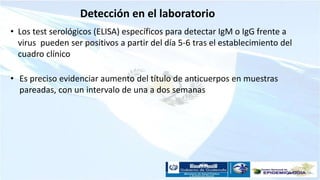 Detección en el laboratorio
• Los test serológicos (ELISA) específicos para detectar IgM o IgG frente a
virus pueden ser positivos a partir del día 5-6 tras el establecimiento del
cuadro clínico
• Es preciso evidenciar aumento del título de anticuerpos en muestras
pareadas, con un intervalo de una a dos semanas
 