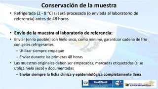 Conservación de la muestra
• Refrigerada (2 - 8 °C) si será procesada (o enviada al laboratorio de
referencia) antes de 48 horas
• Envío de la muestra al laboratorio de referencia:
• Enviar (en lo posible) con hielo seco, como mínimo, garantizar cadena de frio
con geles refrigerantes
– Utilizar siempre empaque
– Enviar durante las primeras 48 horas
• Las muestras originales deben ser empacadas, marcadas etiquetadas (si se
utiliza hielo seco) y documentadas
– Enviar siempre la ficha clínica y epidemiológica completamente llena
 