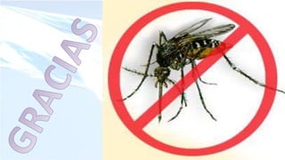 Capacitacion de d ch-z para territorios