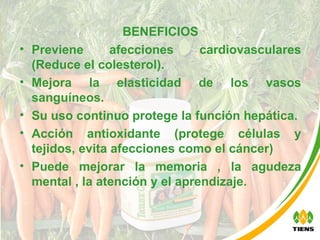 BENEFICIOS Previene afecciones cardiovasculares (Reduce el colesterol). Mejora la elasticidad de los vasos sanguíneos. Su uso continuo protege la función hepática.  Acción antioxidante (protege células y tejidos, evita afecciones como el cáncer) Puede mejorar la memoria , la agudeza mental , la atención y el aprendizaje. 