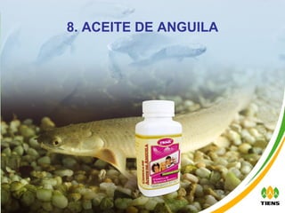 8. ACEITE DE ANGUILA 
