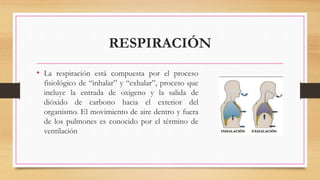 CAPACITACION DE SIGNOS VITALES.pptx